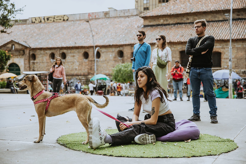 "Yoga en el Parque"