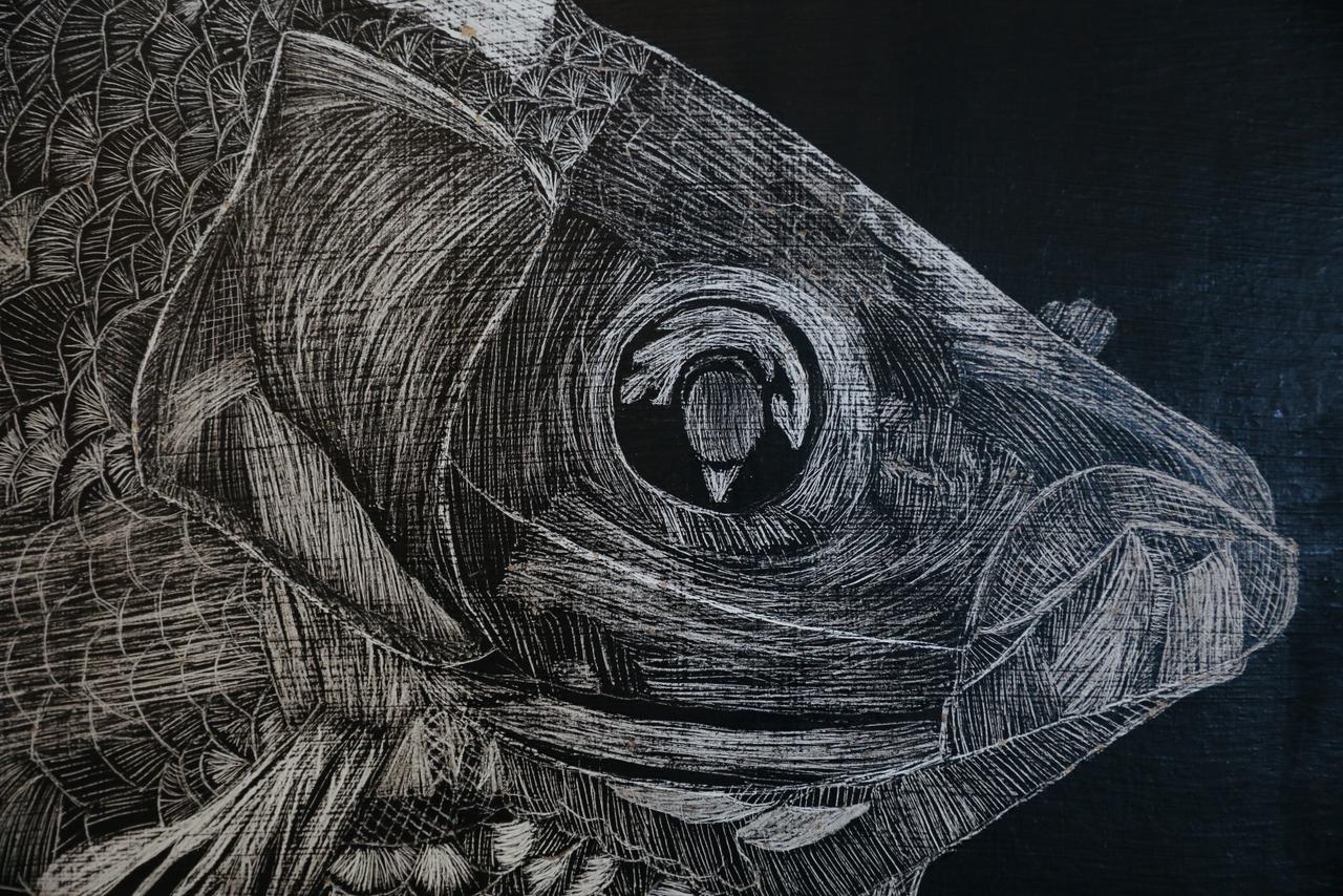 laboratorios co-creación