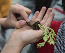 Laboratorio artístico "El Cofre Verde"  #FILBoCiudad