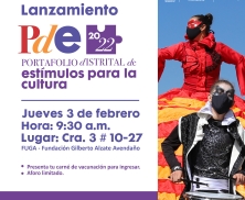 Lanzamiento PDE