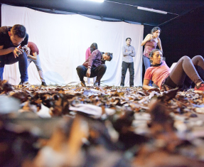 Festival Calma: Taller "Un cuento de animales"