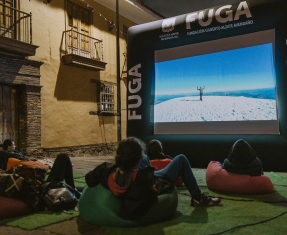 Actividad con pantalla de Cine en la Calle 10
