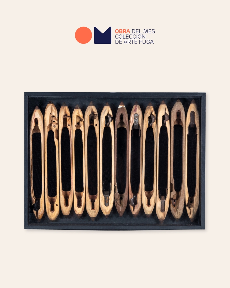 Obra del mes de agosto de 2025 de Augusto Ardila Plata