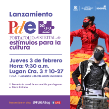 Lanzamiento PDE