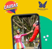 causas ciudadanas 2022