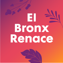 El Bronx Renace - Columna de Margarita Díaz Casas