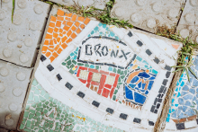 Bronx DC